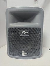 Peavey PR 10 Speakers Working As Should