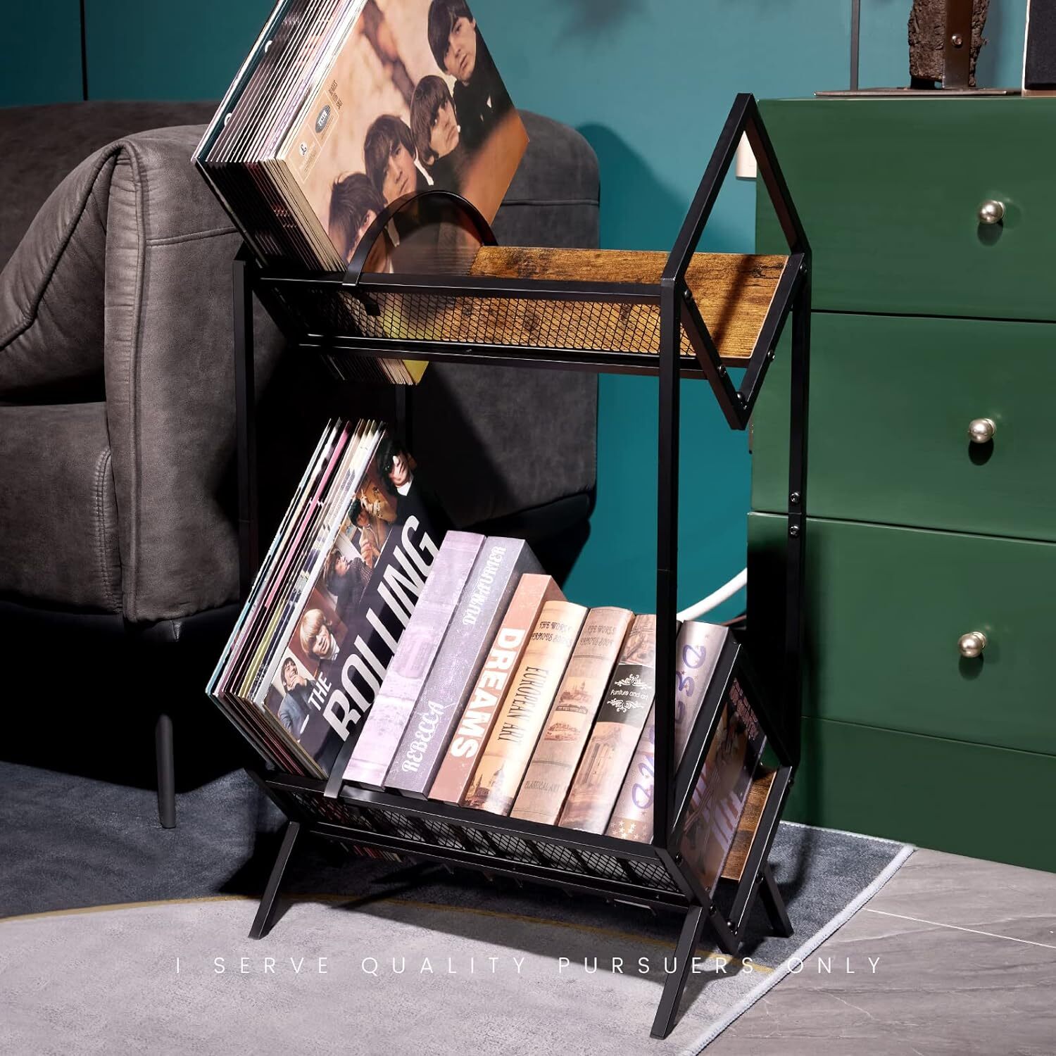 Modern Metal Record Player Stand with Vinyl and Book Storage-image