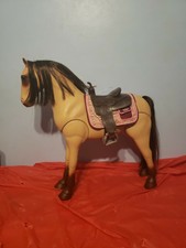 our generation lusitano horse