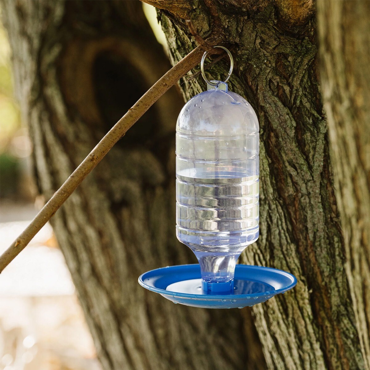 Peckish Wild Bird Water Drinker