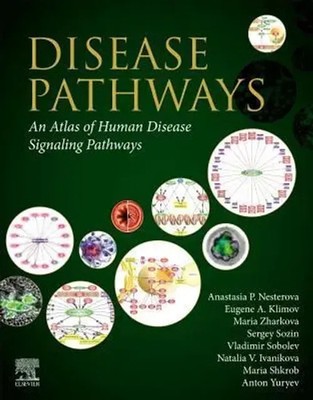 Anastasia P Nesterova (u. a.) | Disease Pathways | Taschenbuch | Englisch (2019)