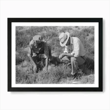Untitled Photo, Possibly Related To Framed Wall Art Poster Canvas Print Picture