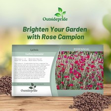 5000 Seeds Lychnis Seed - Lychnis Coronaria Rose Campion Flower Seeds