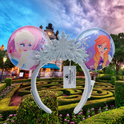 Disney- Frozen Anna Elsa Limited Snowflake Loungefly Park Minnie