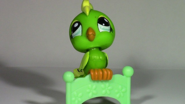 littlest pet shop parrot