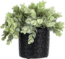 Artificial Plant Eucalyptus Boxwood in Black Concrete Pot, Round Plant Container
