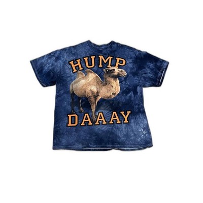 Hump Day Camel 3DTees By The Mountain Tie Dye XL
