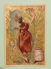 chrome Liebig - woman insect beetle - LAMPROSOMA