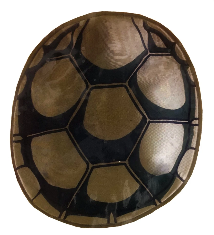 Tortugas Ninja Adolescentes Mutantes - Disfraz de Rafael Niño M 7-8 Foto 3 de 4