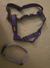 1 Harness Dog 1 Collar
