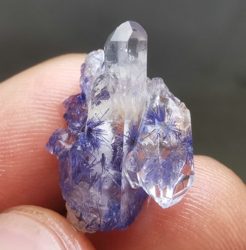 12,5ct sehr seltenes natürliches klares schönes blaues Dumortierit Kristall Exemplar - Bild 5 von 13