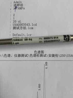 SB-Aq chromatographic column, water resistant 4.6 × two hundred and fifty