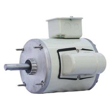 Dayton Ggs_47541 Corrosion Resistant Direct Drive Motor, 1/3 Hp, Oem