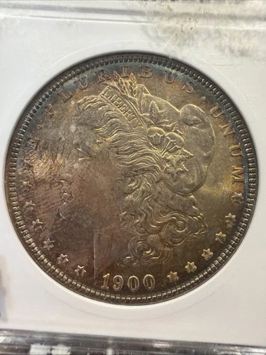 1900 Morgan Silver Dollar, ANACS - MS64 Gorgeous Toning 032433