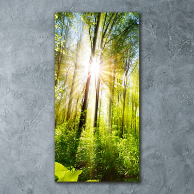 Wandbild Kunst-Druck auf Hart-Glas hochkant 60x120 Sonne im Wald