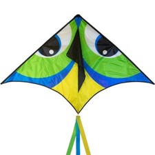 72" MANU Green DELTA KITE from In The Breeze 3339