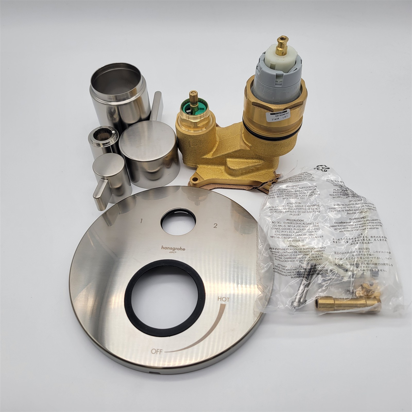 hansgrohe Ecostat Modern Pressure Shower Valve Trim in Brush
