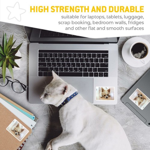 2 x Rectangle Stickers 7.5 cm - Cute Chihuahua Dog Puppy Pet Animal Cool Gift #2 - Bild 7 von 9