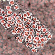 FAKE 5MM Sushi Fish Cake Slices Polymer Clay Sprinkle NOT EDIBLE D21-10