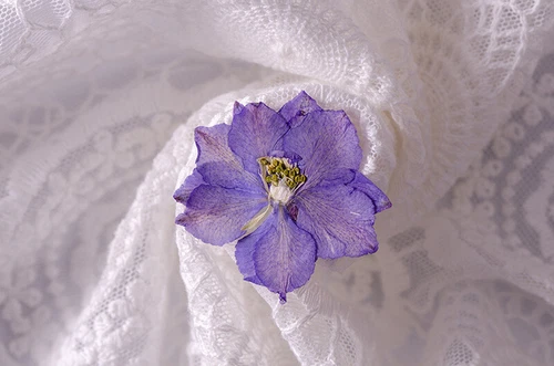 Dried Pressed Flowers Natural Epoxy Resin Candle Nail Art Scrapbooking Craft AU - Picture 111 of 210