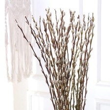 30 Branches Pussy Willow Branches for Vases 23 Inches Natural Dried Pussy Wil...