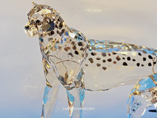 Swarovski SCS 2023 Edizione ELEGANZA D'AFRICA GHEPARDO MEHIRA # 5636241