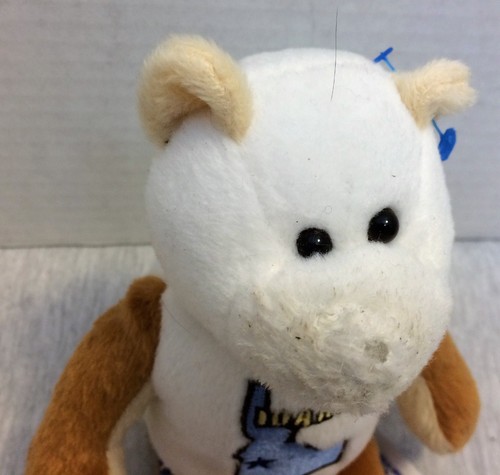 Limited Treasures State Quarters Coin Collectible Teddy Idaho #43 - Picture 3 of 5