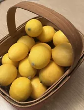 Artificial SMALL  LEMONS Realistic 2” Faux Fruit Lot Of 20