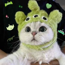 Cat Cute Cartoon Decorative Funny Cat Headwear Cat Dog Hat Headgear Photo Props