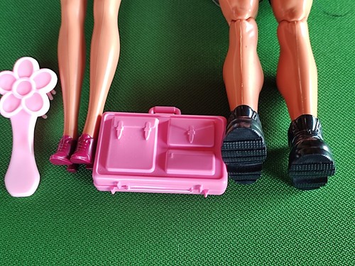 Barbie Auto, Mattel MAX STEEL 1998, Hund, Koffer, Haarbürste, Caprio, Frau 1991 - Bild 14 von 19