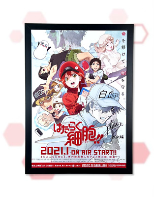 Cells at Work! AUTOGRAPHED Kana Hanazawa & Tomoaki Maeno B2 Anime Poster PSA LOA