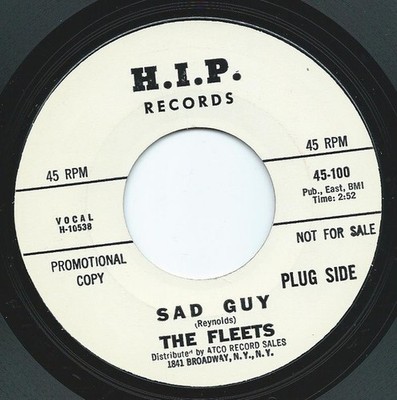 Fleets - Sad Guy - Used Vinyl Record 7 - Promo - G8100z