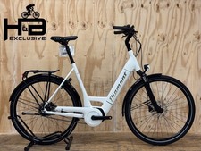 Diamond Beryll Deluxe+ E-Bike Shimano Nexus 2022