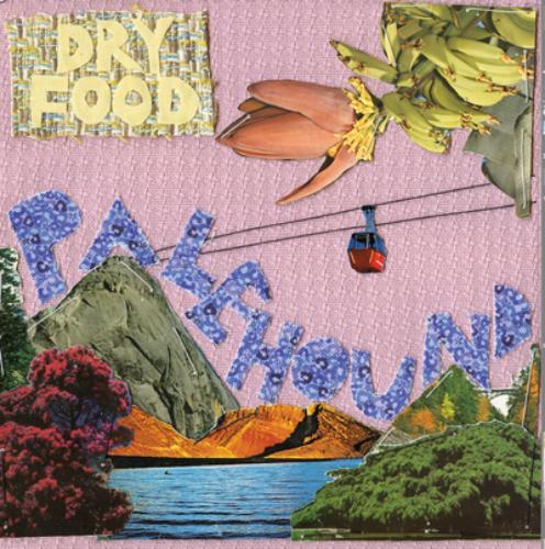 Palehound Dry Food (CD) Album