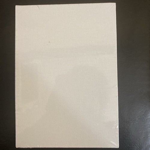 Arteza 5x7 white blank canvas panel boards 100 cotton ebay