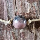Bild 23 von 27