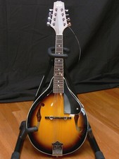 Rogue Starter Mandolin w/ Padded soft bag, instruction Books chord charts