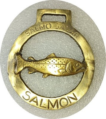SALMON - COARSE FISH - scarce horse brass (8966)