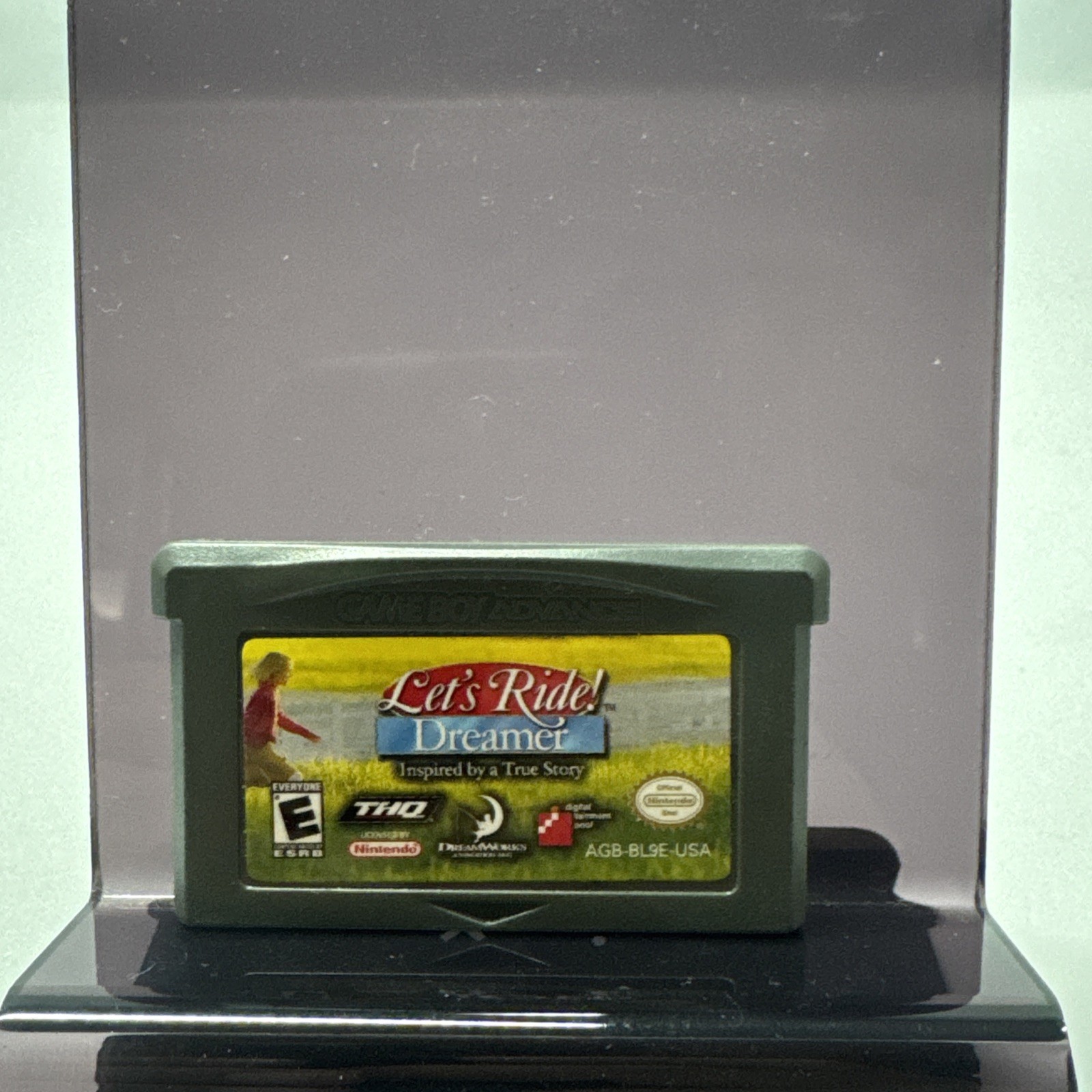 Nintendo Game Boy Advance Let's Ride Dreamer, Authentic M616