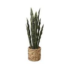 Home Decor Collection Flora Bunda 24.3" Artificial Snake Plant in Rattan Basket