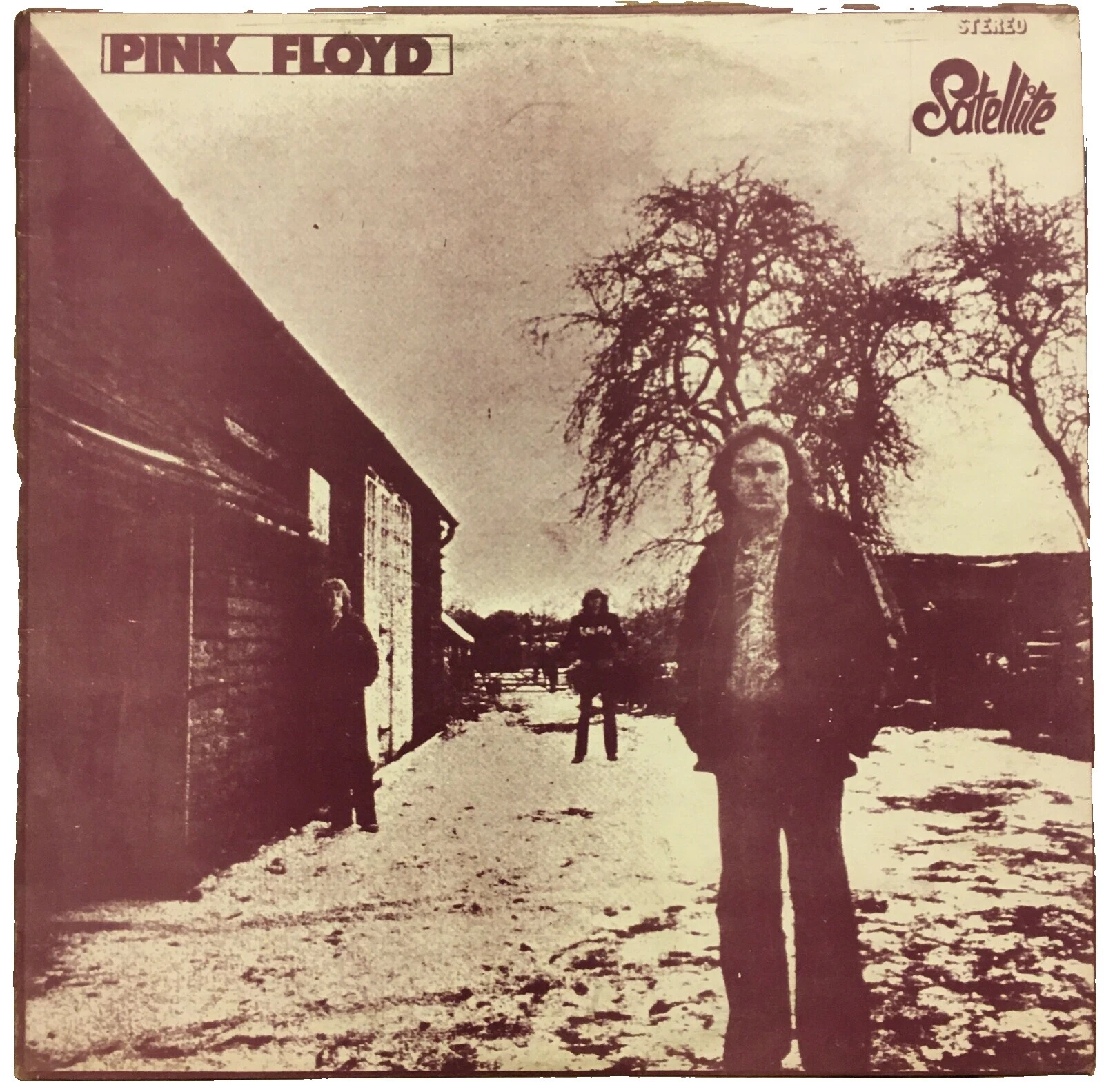 Pink Floyd Excellent (EX) Case Near Mint (NM or M -) Sleeve Vinyl Records