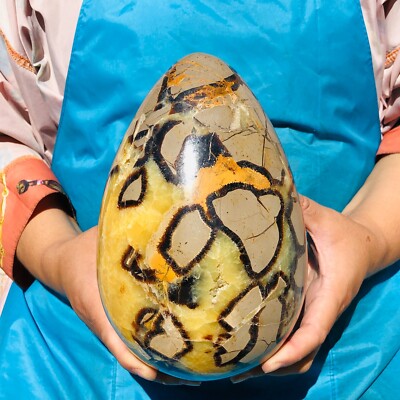 10.62LB Natural Turtle back dinosaur egg crystal quartz mineral healing 2123