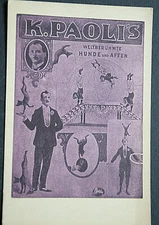 50321 AK K. Paoli's World Famous Dogs And Monkeys Circus Around 1920