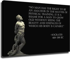 It Is A Shame for A Man To Grow Old Without Seeing The Beauty Socrates Poster