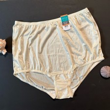 Vanity Fair Nylon Brief Panty CANDLEGLOW 7/L Perfectly Yours 15711 1 Pair NWT