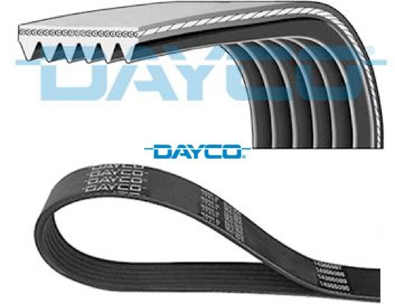 DAYCO 6PK1965 Keilrippenriemen Keilriemen für Alfa romeo für Fiat für Lancia