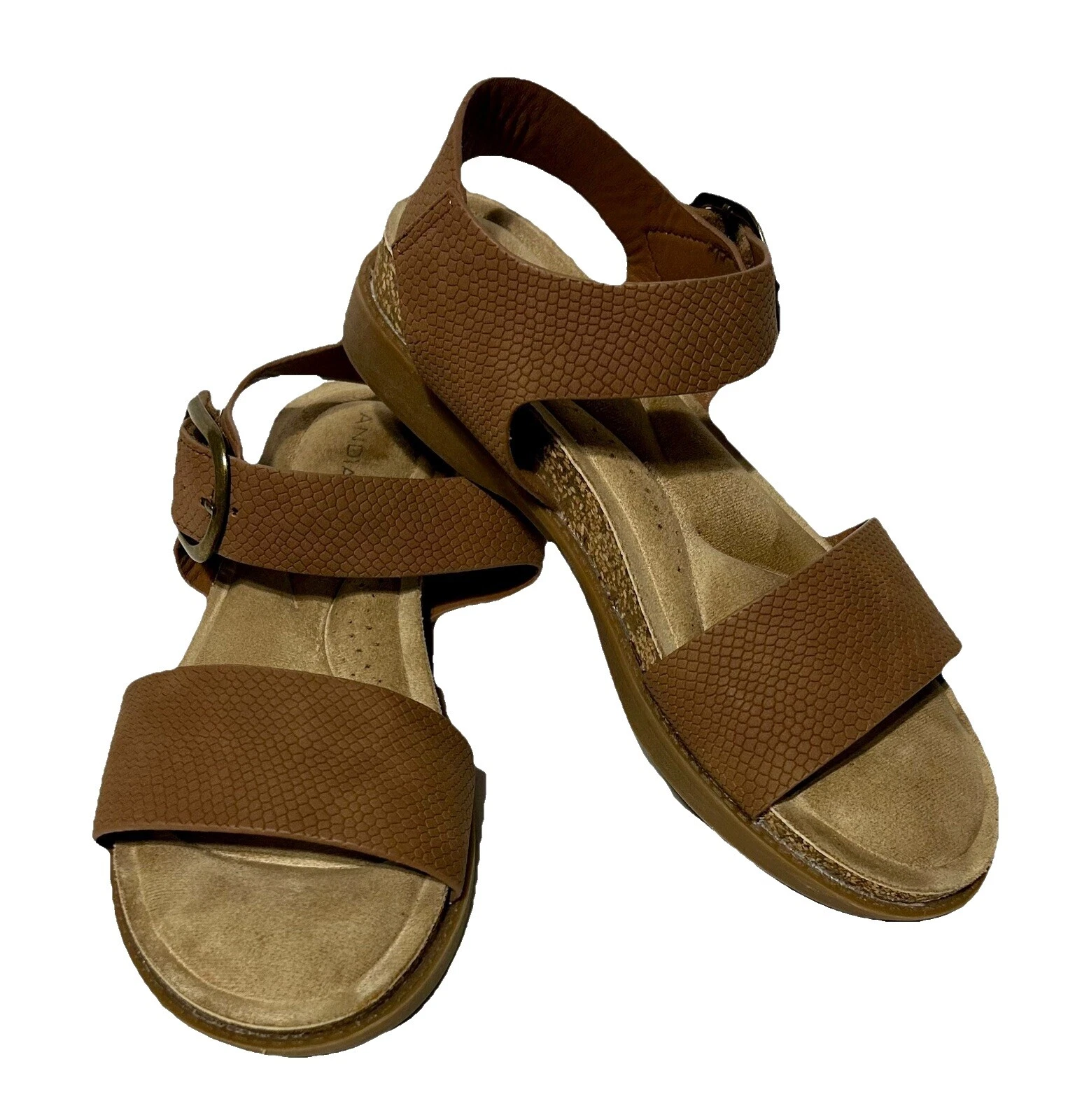 Zapatos marrones ANDIAMO para Mujeres