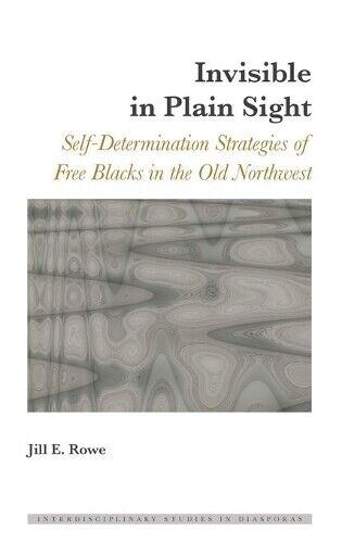 Thumbnail - Jill E. Rowe Invisible In Plain Sight (gebundene Ausgabe)