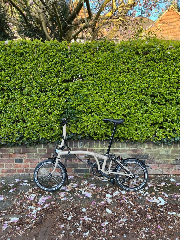 Brompton C Line 2025 12-Speed, Dune Sand
