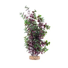 Fluval Aqualife Plant Scapes Red Bacopa 14 inch